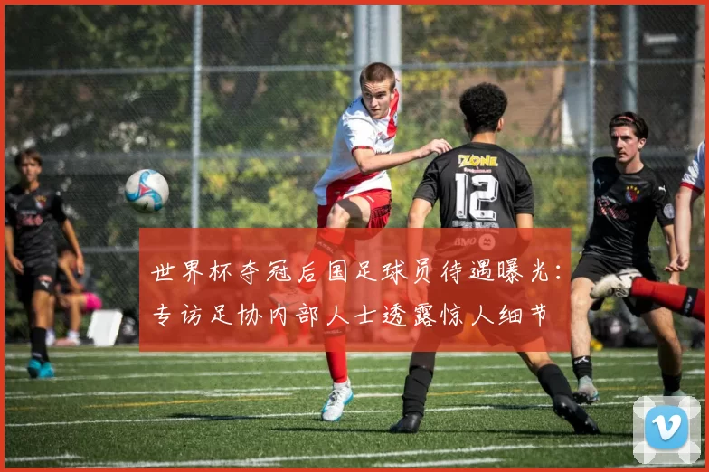 世界杯夺冠后国足球员待遇曝光:专访足协内部人士透露惊人细节
