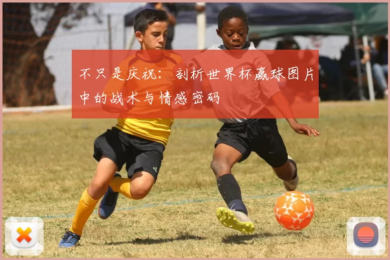不只是庆祝：剖析世界杯赢球图片中的战术与情感密码