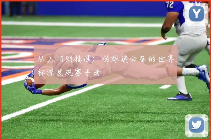 从入门到精通：伪球迷必备的世界杯深度观赛手册