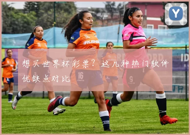 想买世界杯彩票?这几种热门软件优缺点对比