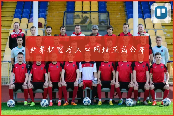 世界杯官方入口网址正式公布