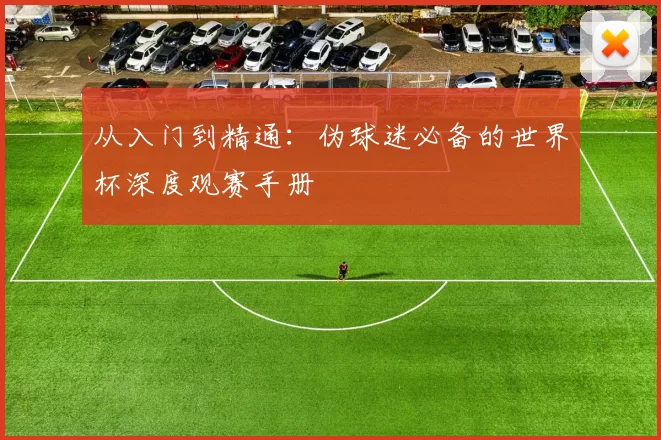 从入门到精通:伪球迷必备的世界杯深度观赛手册