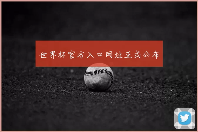 世界杯官方入口网址正式公布