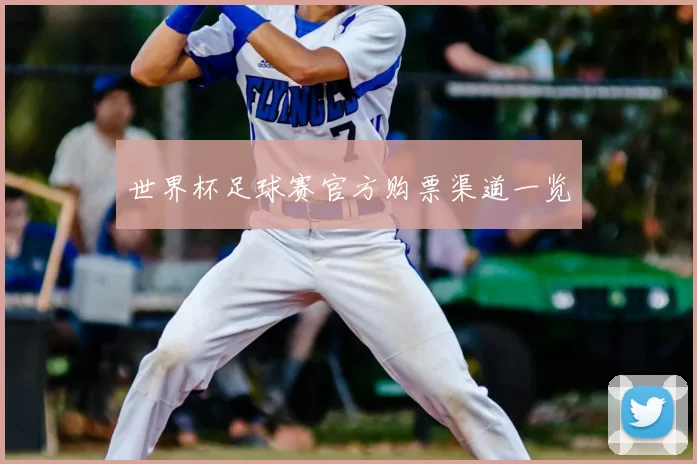 世界杯足球赛官方购票渠道一览