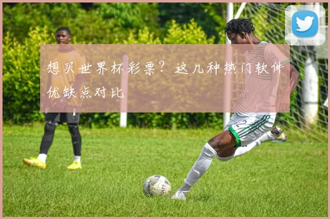 想买世界杯彩票?这几种热门软件优缺点对比