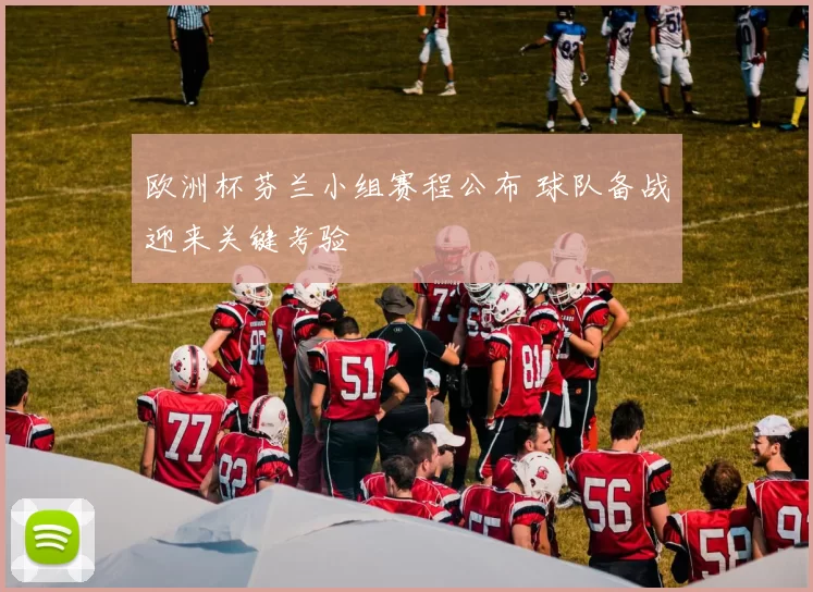 欧洲杯芬兰小组赛程公布 球队备战迎来关键考验