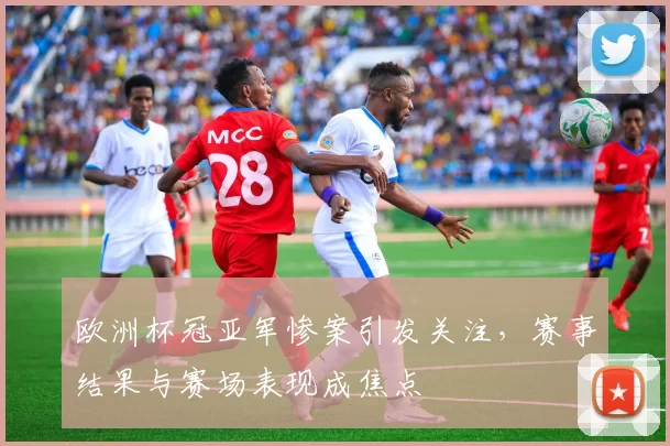 欧洲杯冠亚军惨案引发关注,赛事结果与赛场表现成焦点