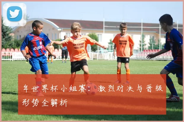 年世界杯小组赛：激烈对决与晋级形势全解析