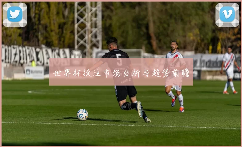 世界杯投注市场分析与趋势前瞻