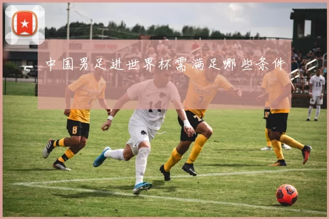 中国男足进世界杯需满足哪些条件