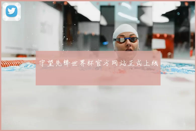 守望先锋世界杯官方网站正式上线