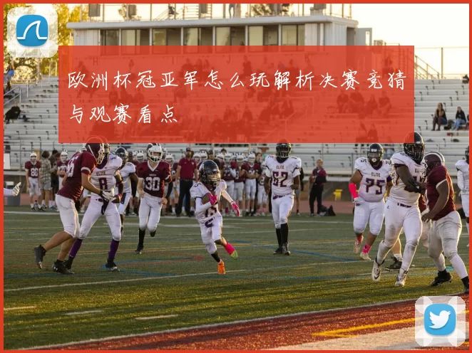 欧洲杯冠亚军怎么玩解析决赛竞猜与观赛看点